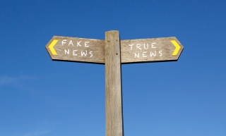 Conceptual Signpost - Fake and True News